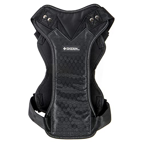 Worldwise Sherpa Crash Tested Seatbelt Safety Harness, Black, Large