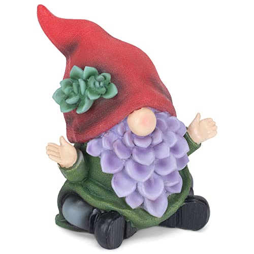 Napco Succulent Gnome Sitting 8.25 Inch Tall Red Green Blue Resin Garden Figurine