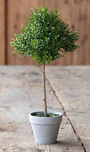 Park Hill Collection Artificial Potted Thyme Topiary