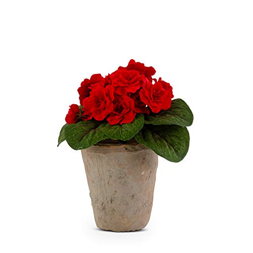 K&K Interiors 17209A-RD 8 Inch Red Violet in Distressed Clay Pot