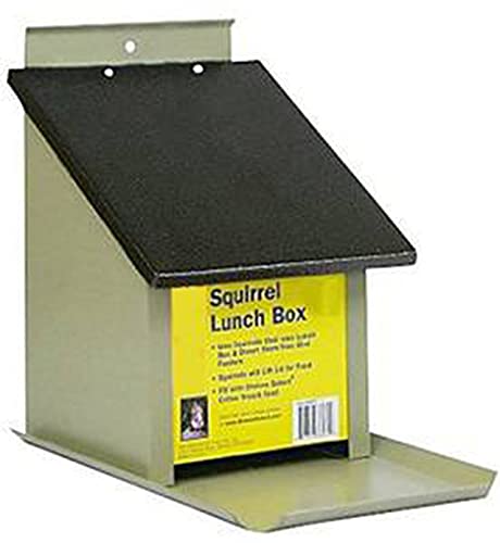 Zenport Squirrel Lunch Box Z38079 Hopper Bird Feeder, Beige