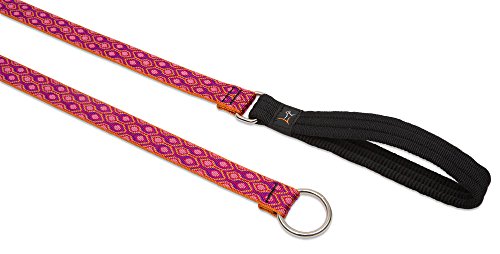 Lupine Pet Originals 1" Alpen Glow 6-foot Slip Lead/Leash for Medium and Larger Dogs