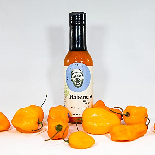 Spicin Foods Pain is Good - Habanero Hot Sauce - 5oz Bottle - Made in USA - All Natural Ingredients, Non-GMO, Gluten-Free, Sugar-Free, Vegetarian, Keto - Pack of 1