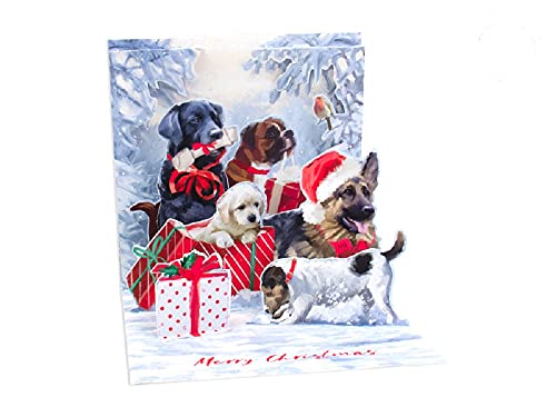 Up With Paper 1416LIT Winter Dogs Greeting Card, 5.25-inch Square
