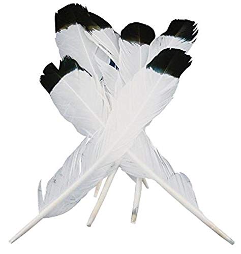 Midwest Design Touch of Nature 38180 Simulated Eagle Feather