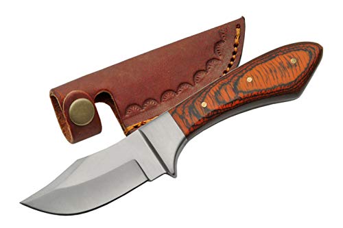 SZCO Supplies 7.25√Å√≠Œ©√Å√©‚â§ Small Upsweep Drop-Point Outback Pakkawood Handle Skinning Knife with Sheath