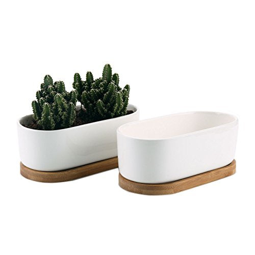 T4U Small White Succulent Planter Pots with Bamboo Tray Set of 2, Oval Cactus Plant Holder Container for Home Office Table Desk Decoration for Mom Aunt Sister Daughter Gardener