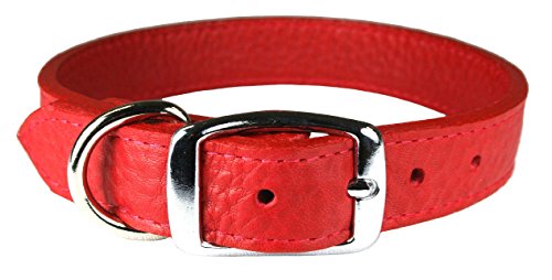 Omnipet Luxe Dog Collar (14, Ruby)