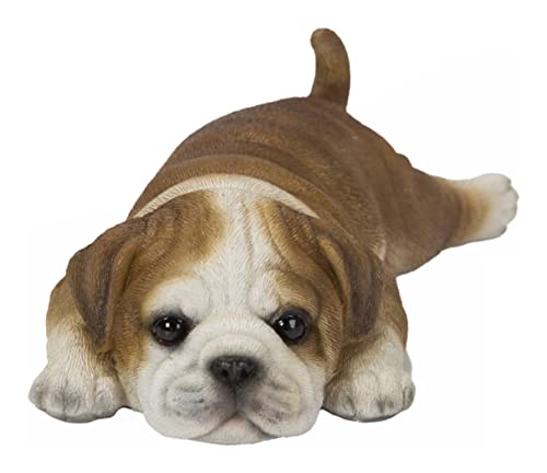 Hi Line Bulldog Fridge Magnet