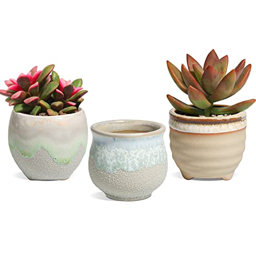 T4U Small Ceramic Succulent Pots with Drainage Set of 3, Mini Pots for Plants, Tiny Porcelain Planter, Air Plant Flower Pots Cactus Faux Plants Containers, Modern Decor for Home and Office