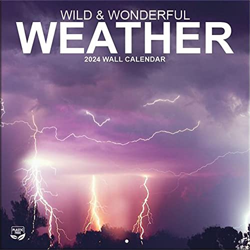 LANG Turner Photographic Wild & Wonderful Weather Photo Mini Wall Calendar (24998950035)