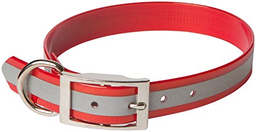 OmniPet Sunglo Reflective Regular Dog Collar, 1 x 21, Red