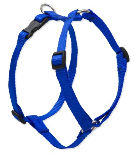 Lupine Pet Basics 3/4" Blue 20-32" Adjustable Roman Dog Harness for Medium Dogs