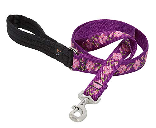 Lupine Pet Originals 1" Rose Garden 4-Foot Padded Handle Leash for Medium and Larger Dogs