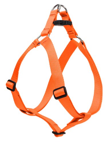 Lupine Pet Basics 1" Blaze Orange 19-28" Step In Harness for Medium Dogs