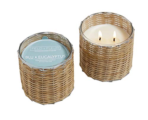 Hillhouse Naturals BEUGL2 Blu Eucalyptus 2 Wick Hand Woven Glass Candle 12 oz