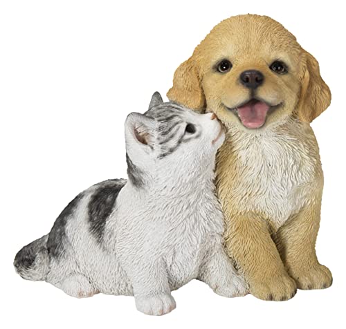 Hi Line Golden Retriever & Kitten