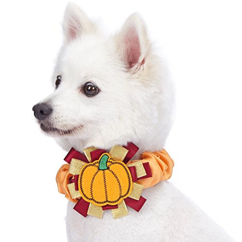 Blueberry Pet Thanksgiving Fall Charm Pumpkin Dog Collar Cover for Small, Medium, Large Collars, Holiday Decorative Accessory for Pet Collar