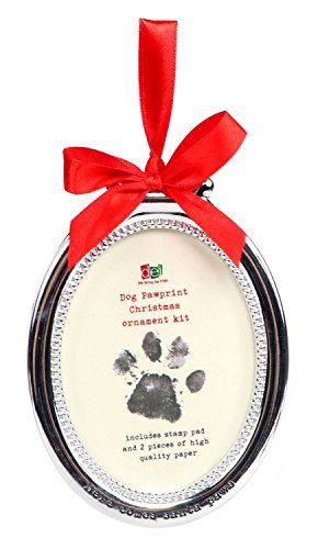 DEI Pet Holiday Ornament Pawprint Stamp Kit