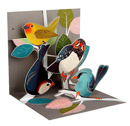 Up With Paper Pop Up Birch Tree Birds Greeting Card