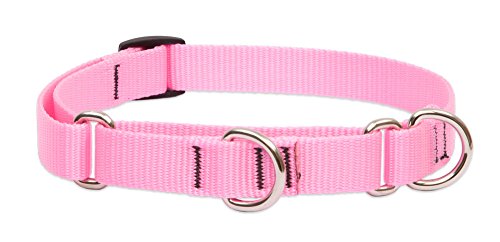 Lupine Pet Basics 3/4" Pink 14-20" Martingale Collar for Medium and Larger Dogs