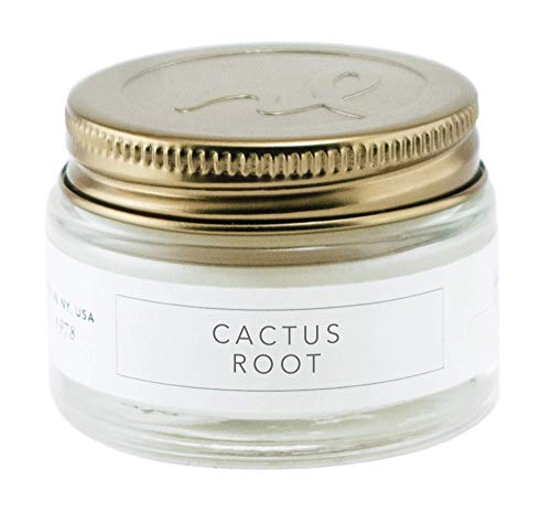 Northern Lights Chroma Mini Jar Candle, 1oz, Cactus Root