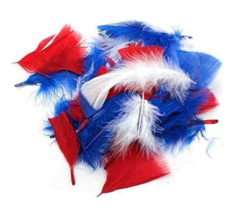 Creative Arts by Charles Leonard Feathers, Turkey, Patriotic Colors 14 Grams/Bag (63050)