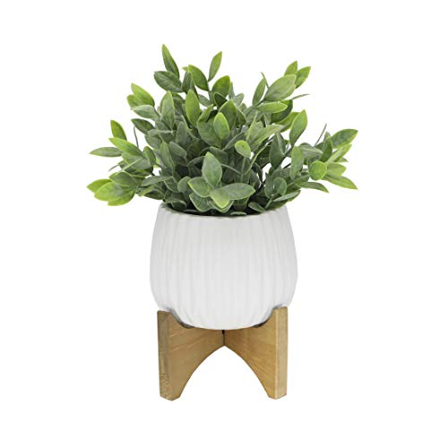 Flora Bunda Artificial Plant Tea Leaf in 5 in Ridge Ceramic Pot on Wood Stand,Matte White