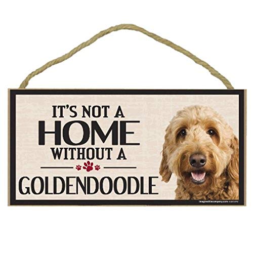 Imagine This Company Wood Sign for Goldendoodle Dog Breeds