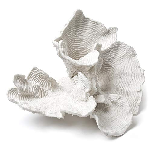 Abbott Collection  Coral Flower, White (Large)