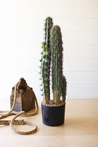 KALALOU CYF1384 Artificial Cactus in A Black Plastic Pot with Five Stems