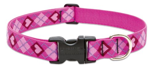 Lupine Pet Originals 1" Puppy Love 25-31" Adjustable Collar for Extra Large Dogs