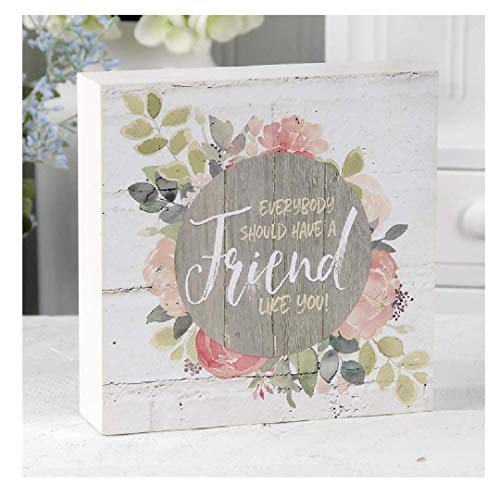 Blossom Bucket 201-39558 A Friend Like You Wall Box Sign, 6-inch Length