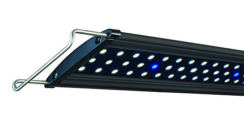 Lifegard Aquatics Full Spectrum LED Aquarium Lights