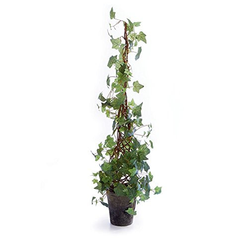 Napa Home & Garden Ivy 42" Cone Topiary Potted