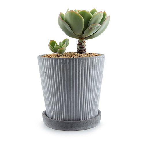 T4U 5 Inch Small Cement Succulent Planter Pot with Saucer, Modern Line Handicraft as Gift for Mom Sister Aunt Best for Home Office Restaurant Table Desk Window Sill Decoration