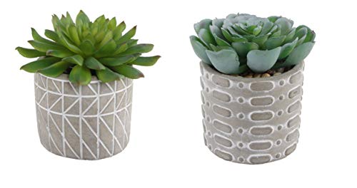 Flora Bunda Mid Century Artificial Plants Cactus Set of 2 Fake Succulent in 3" Cement Diamond line Pot Grey Planter, Potted Plants, for Home Office Decorations