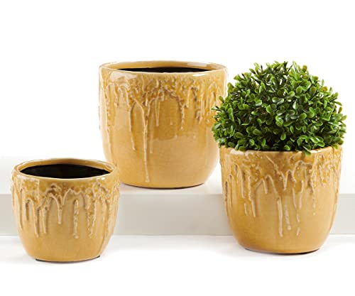 Giftcraft 716565 Bee Happy Planters, Set of 3