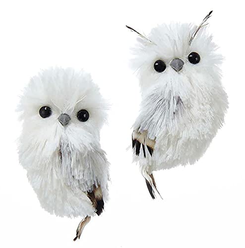 Kurt Adler 5.1" Silver Hanging Owl Christmas Ornament 2 Assorted