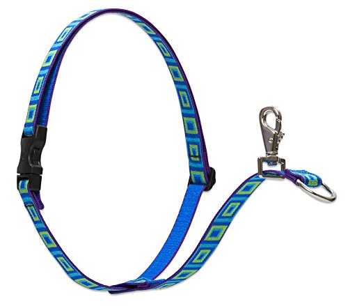 Lupine Pet Originals 1" Sea Glass 26-38" No Pull Harness for Medium-Larger Dogs