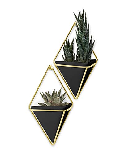 Umbra Trigg Hanging Planter Wall Decor Set, for Displaying Small Plants, Pens and Pencils, Makeup Accessories, Black/Brass