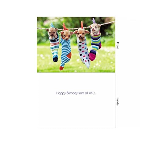 Design Design Sock Puppies Birthday Card - From Us