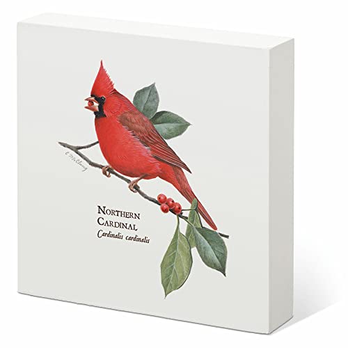 Northern Cardinal 6" x 6" Box Art Sign