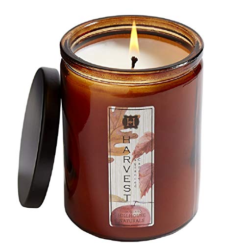 Hillhouse Naturals HVJ Harvest Fragrance Candle in Jar, 11 oz, Cinnamon and Apple