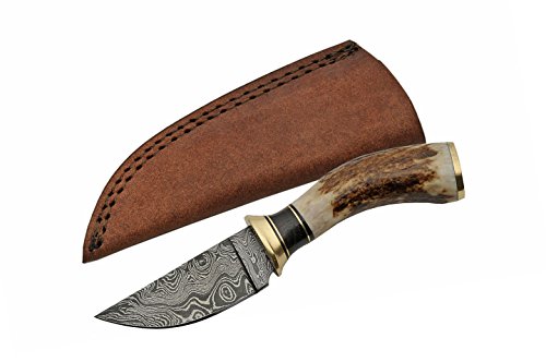 SZCO Supplies Damascus Steel Stag Skinning Knife Hunting Knife