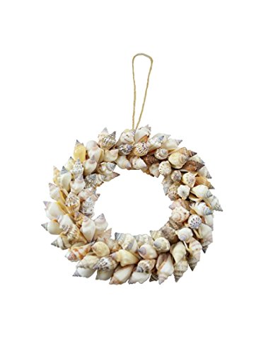 HS Seashells Seashell Wreath 10" - Brown Chula Wired, Coastal Beach Home Decor, Christmas Decorations, Weddings & more