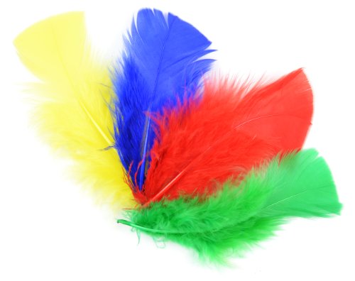 Midwest Design Touch of Nature 38071 Turkey Plumage, 14gm, Multi