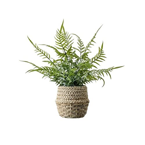 Regency International Artificial Plant Forest Fern in CEM Pot Artificial Plant, 15 Inches, Home D√©cor