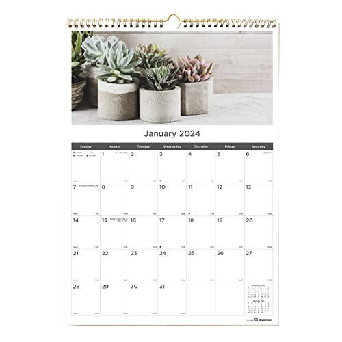 Rediform Blueline Monthly Wall Calendar, Succulent Plants Design, 12 x 17 inches