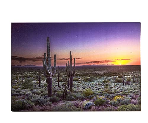 Giftcraft LED Cactus and Desert Print with Timer, 23.6-inch Length
